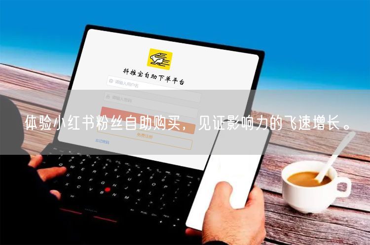 体验小红书粉丝自助购买，见证影响力的飞速增长。