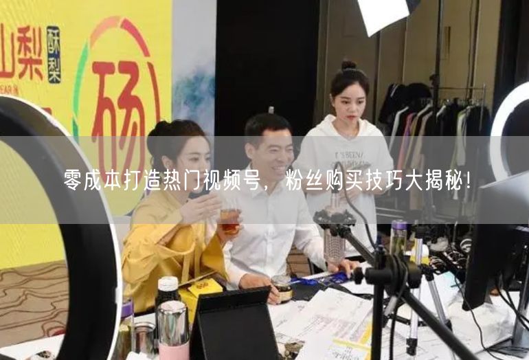 零成本打造热门视频号，粉丝购买技巧大揭秘！