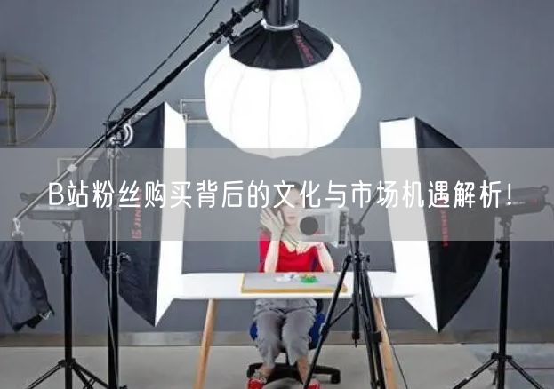 B站粉丝购买背后的文化与市场机遇解析！