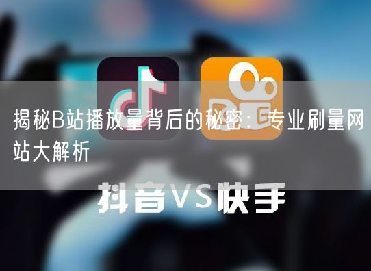 揭秘B站播放量背后的秘密：专业刷量网站大解析